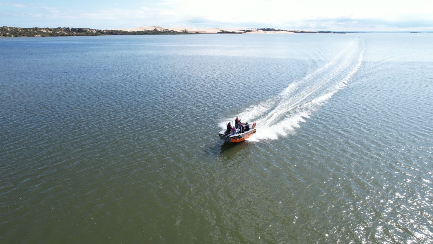 Seabirds and Seals Boat Tour by Coorong Wildside