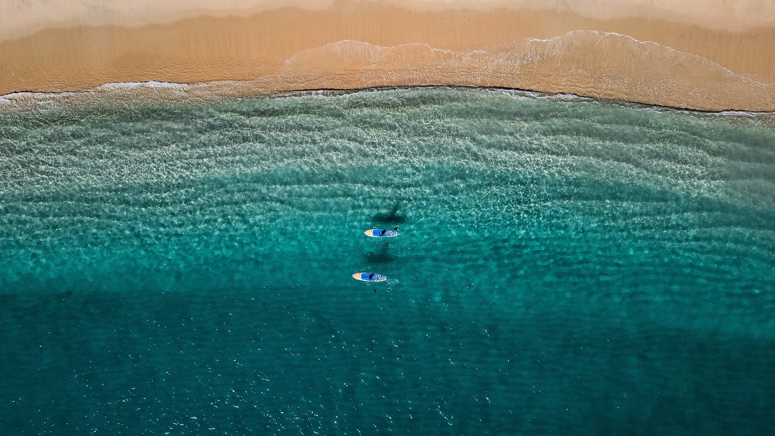 Snorkeling & Beach Day with InCabo Travel in Los Cabos