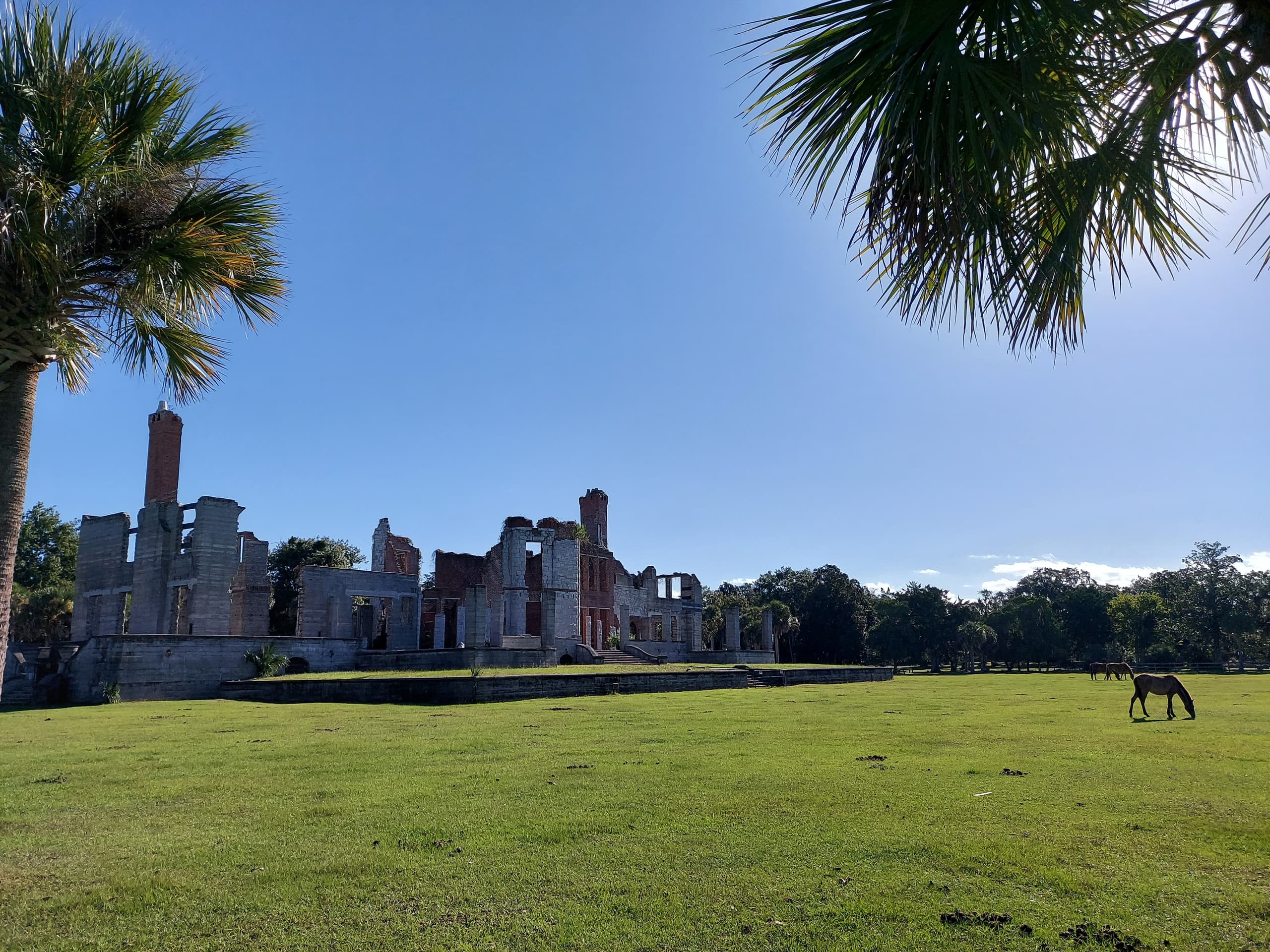 Coastal ruins and open field panorama on historic plantation tour
