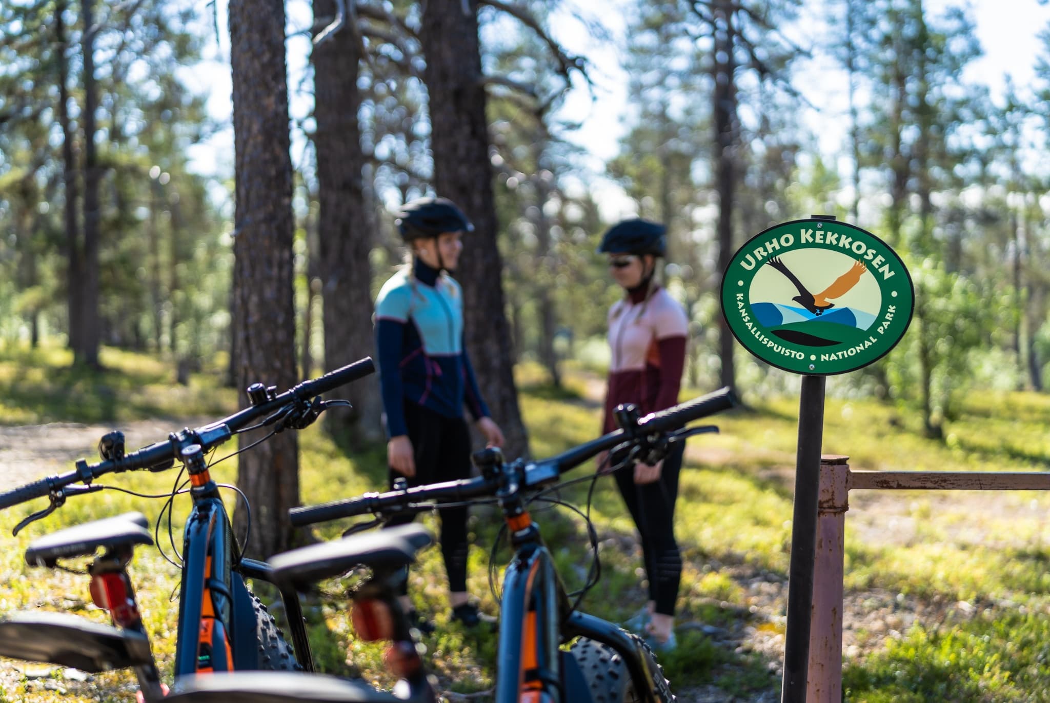 E-Fat Bike Tour in Northern Lapland with Wilderness Hotel - Muotka