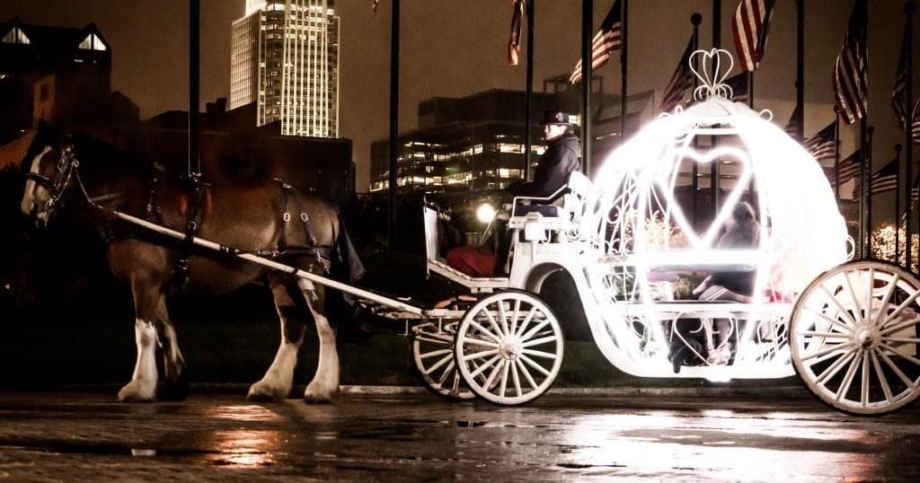 Magical Journeys Carriage Service: 60 Minute Cinderella Tour in Omaha