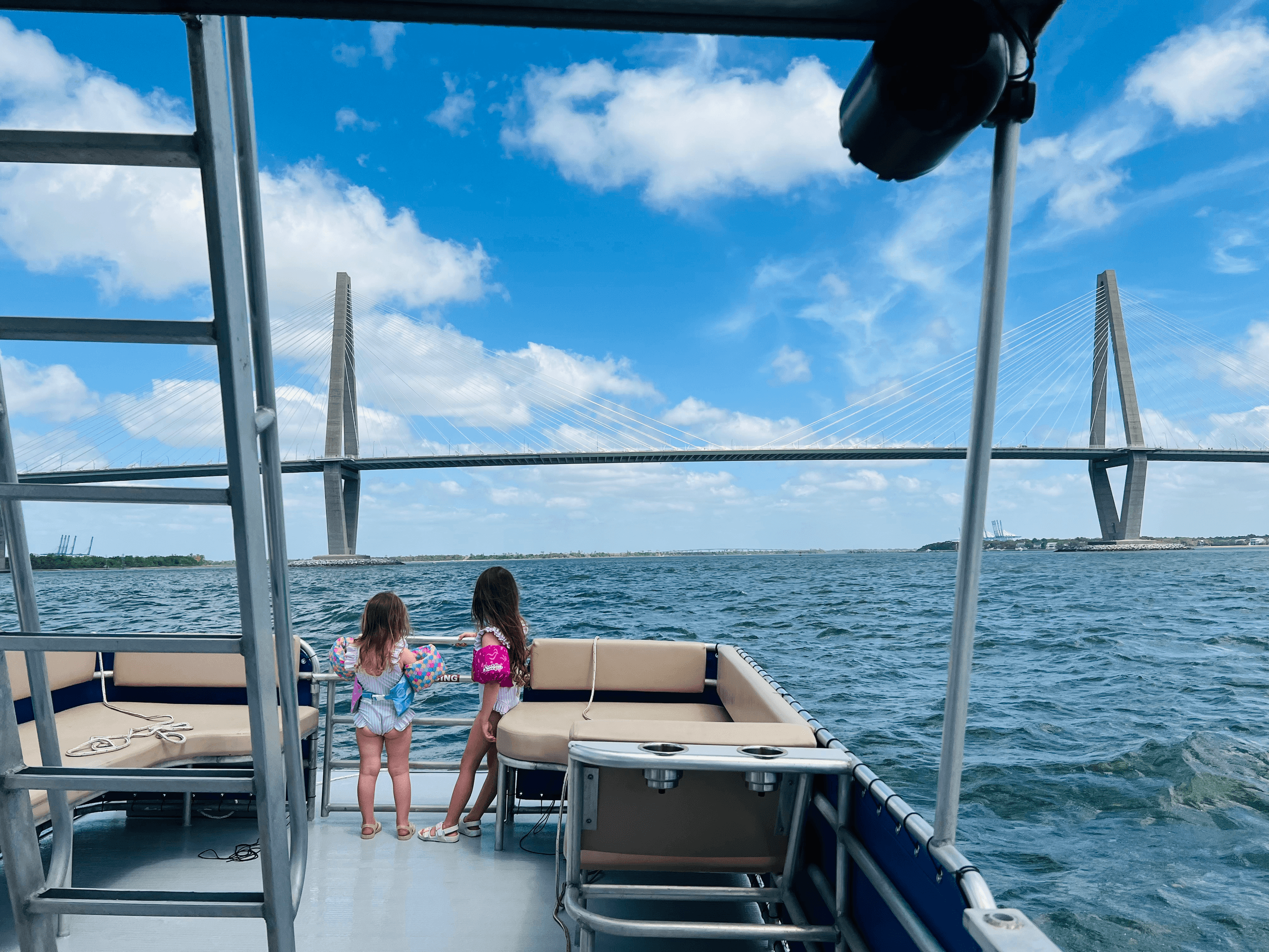 Sunset Private Cruise in Charleston Harbor — 2-Hour Harbor Tour & Dolphin Watching photo 3