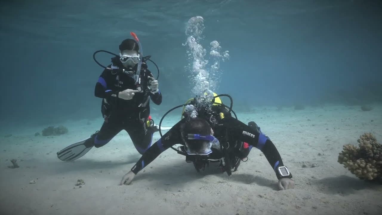 Master Rescue Diver Skills in San Francisco Bay