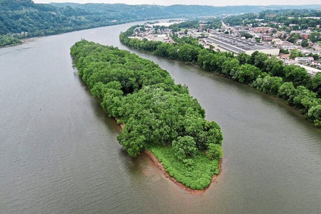 Paddle Sycamore Island: Guided Kayak Tour on the Allegheny River Near Verona, PA photo 2