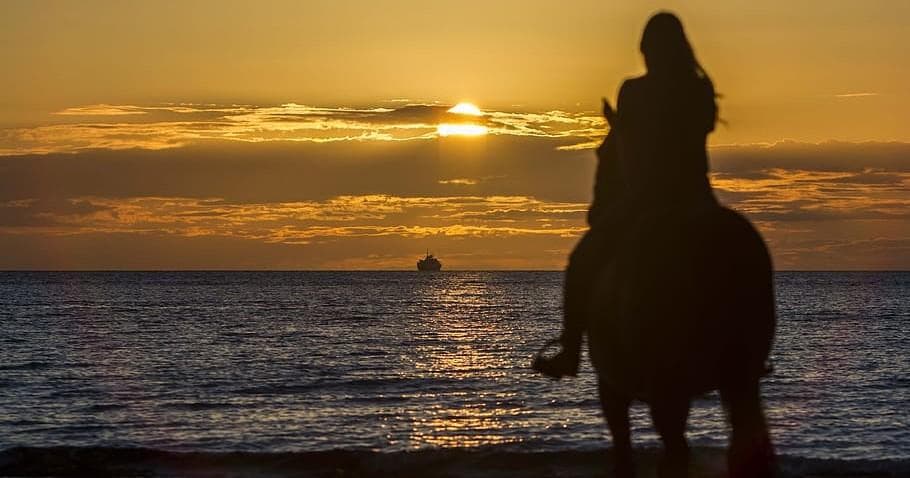 Sunset Horseback Ride in Corpus Christi, Texas