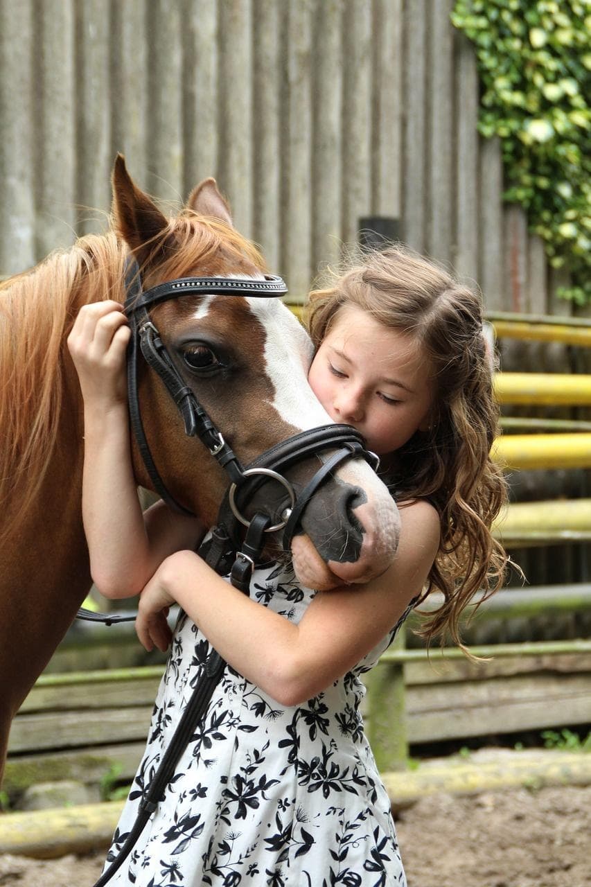 Horse Portrait Sessions at Lake Louisa State Park in Clermont