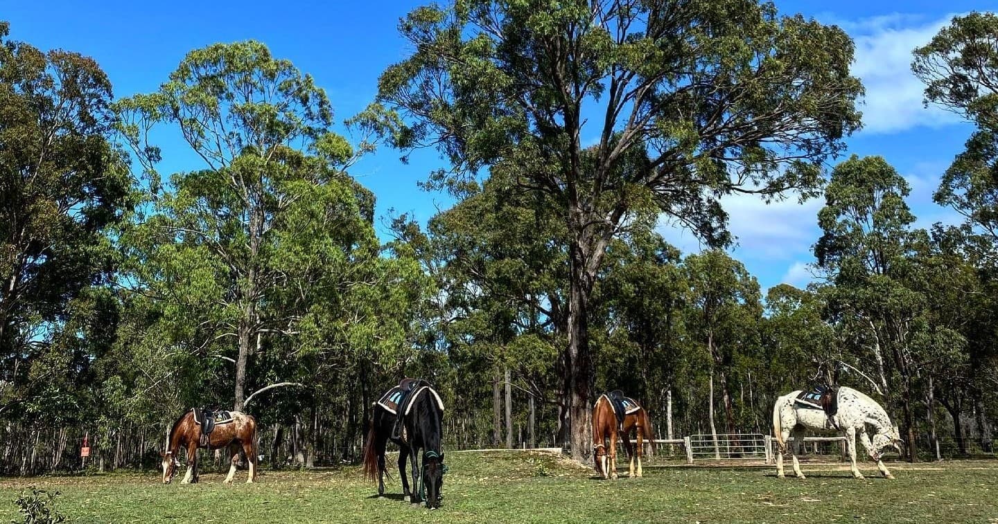 Horseback Riding at Susan River Homestead Adventure Resort
