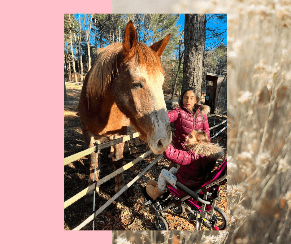 Blazing Saddles Pony Parties & Petting Zoo fleet