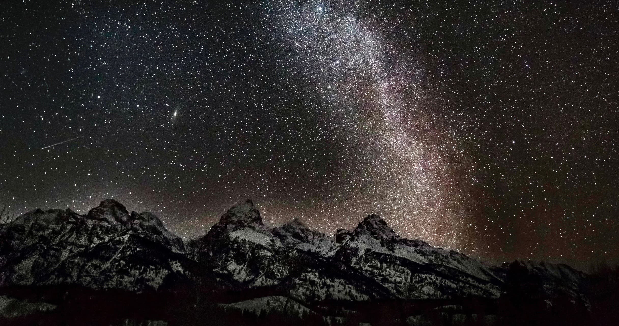 Sunset Safari & Stargazing Tour by Jackson Hole Wildlife Safaris in Teton Village