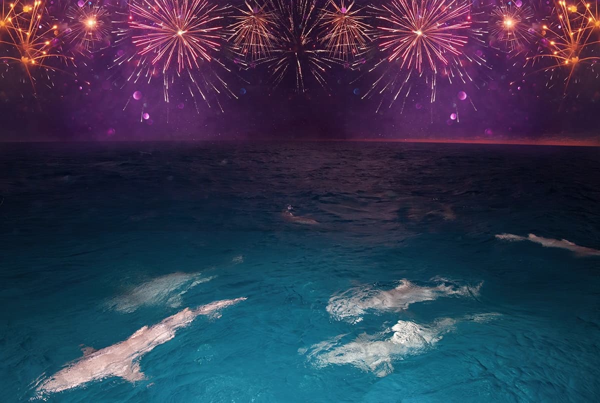Nighttime fireworks over open ocean during offshore celebration cruise