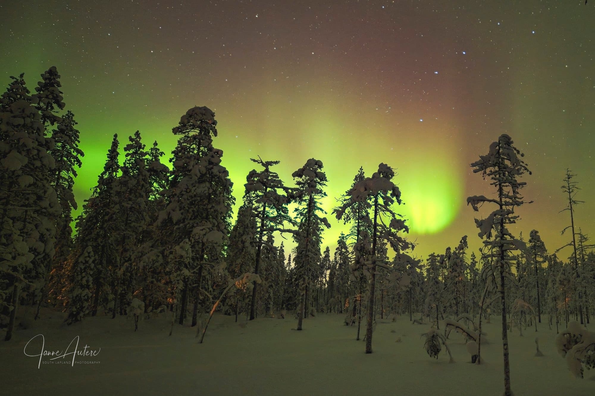 Lapland Winter Photography Workshop: Snowshoe, Northern Lights & Storytelling near Oulu