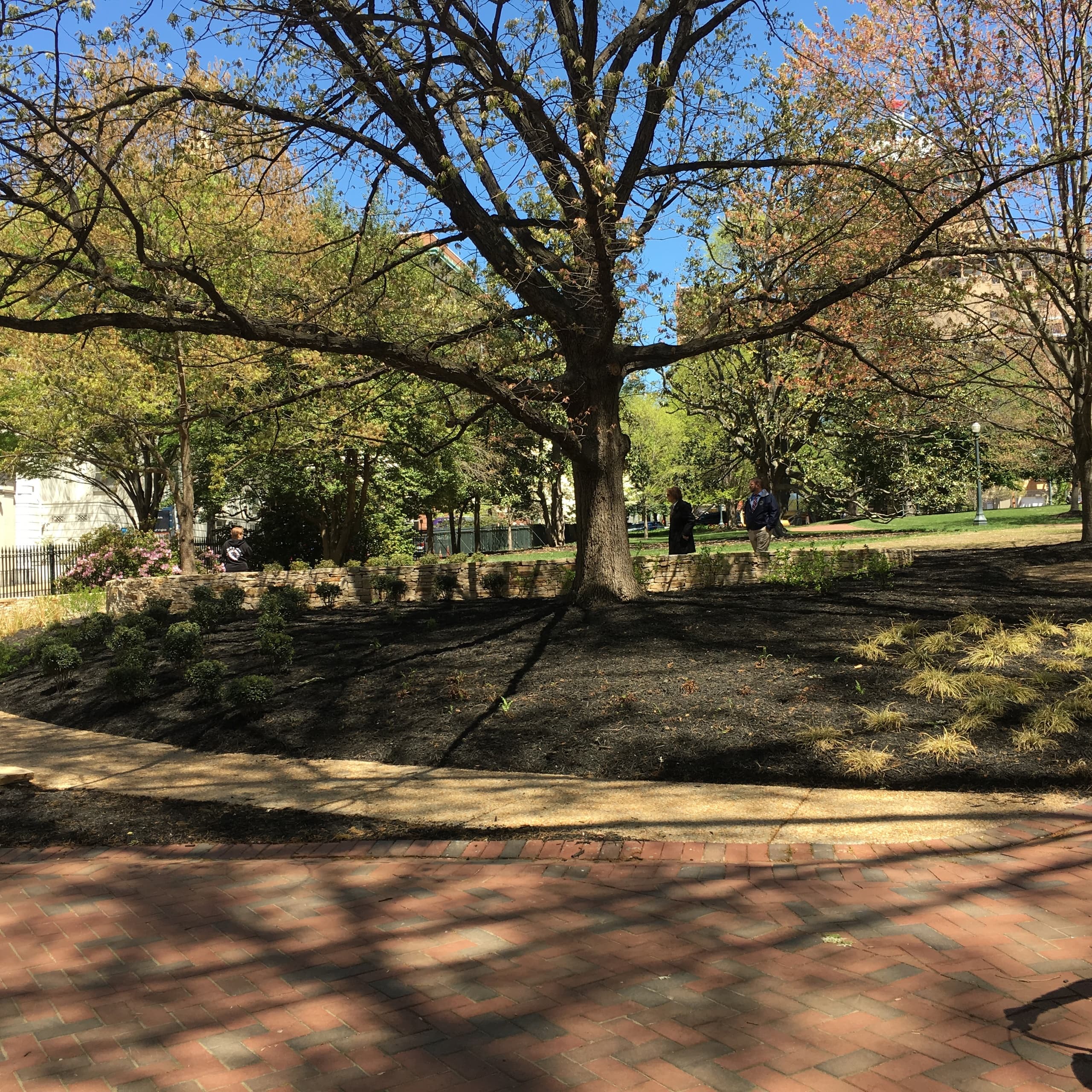 Capitol Steps & Stories: A Guided Walking Tour through Richmond’s Rich History