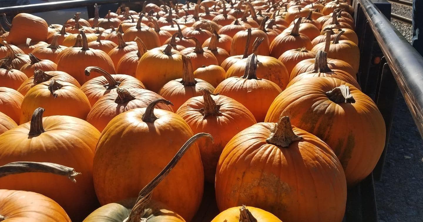 Fall Family Adventure on Adirondack Railroad's Pumpkin Train