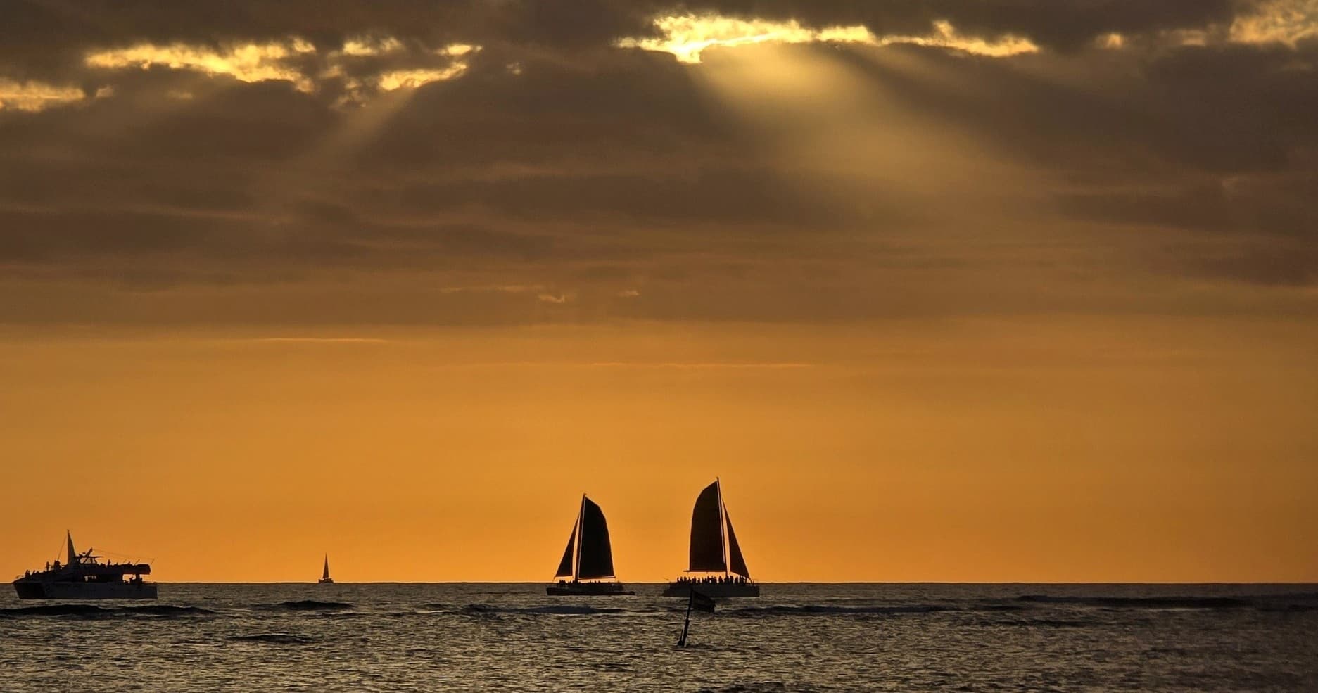 Explore Oahu in One Day: All-Day Private Tour with Aina Holo Tours
