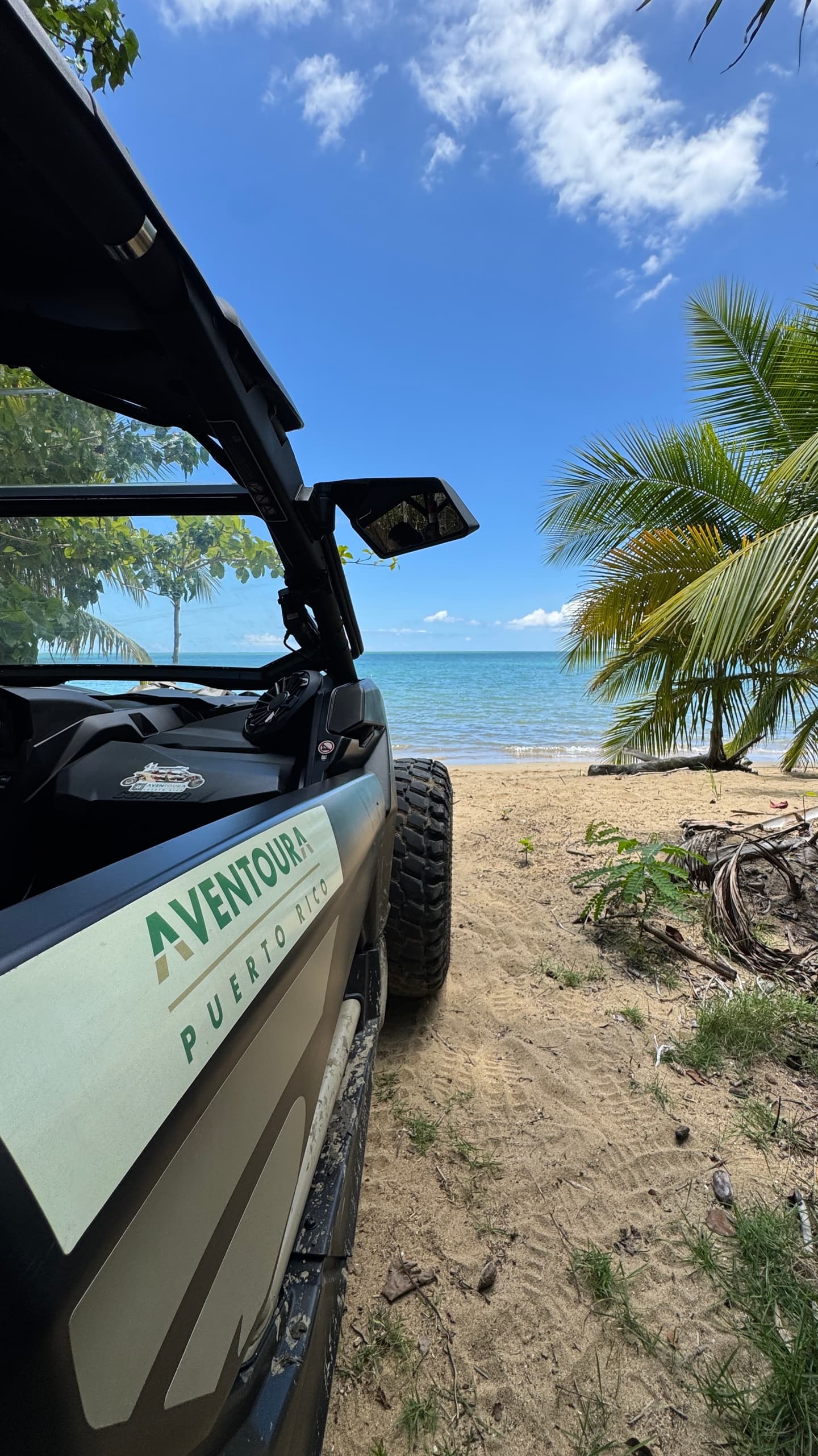 UTV parked on sandy palm-fringed beach, turquoise ocean in Puerto Rico