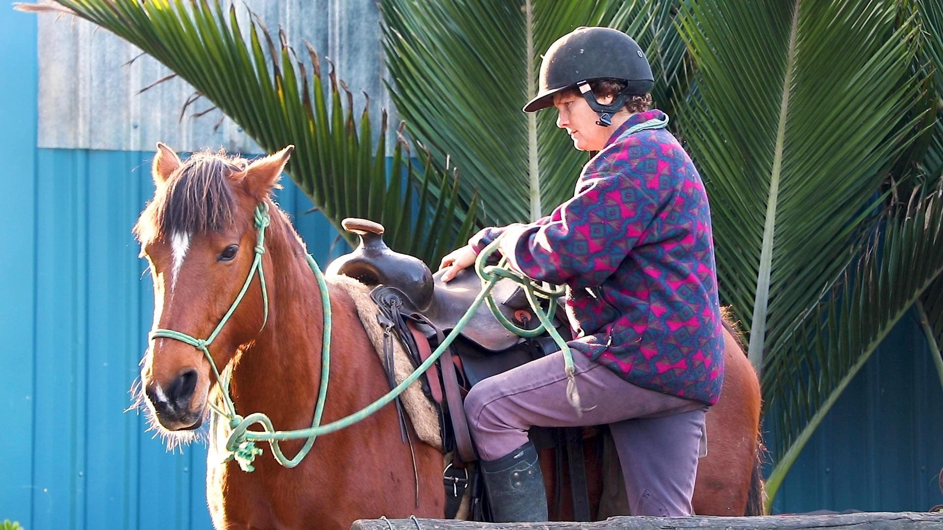 Family Horse Bonding with Boutique Horsetreks in Arrowtown