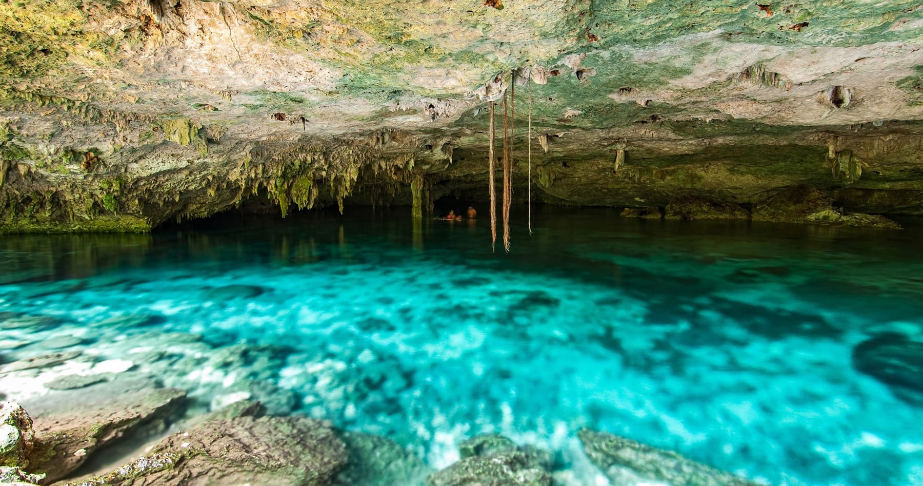 Snorkel Cenotes: Half-Day Dive into Riviera Maya's Underwater Caves photo 1