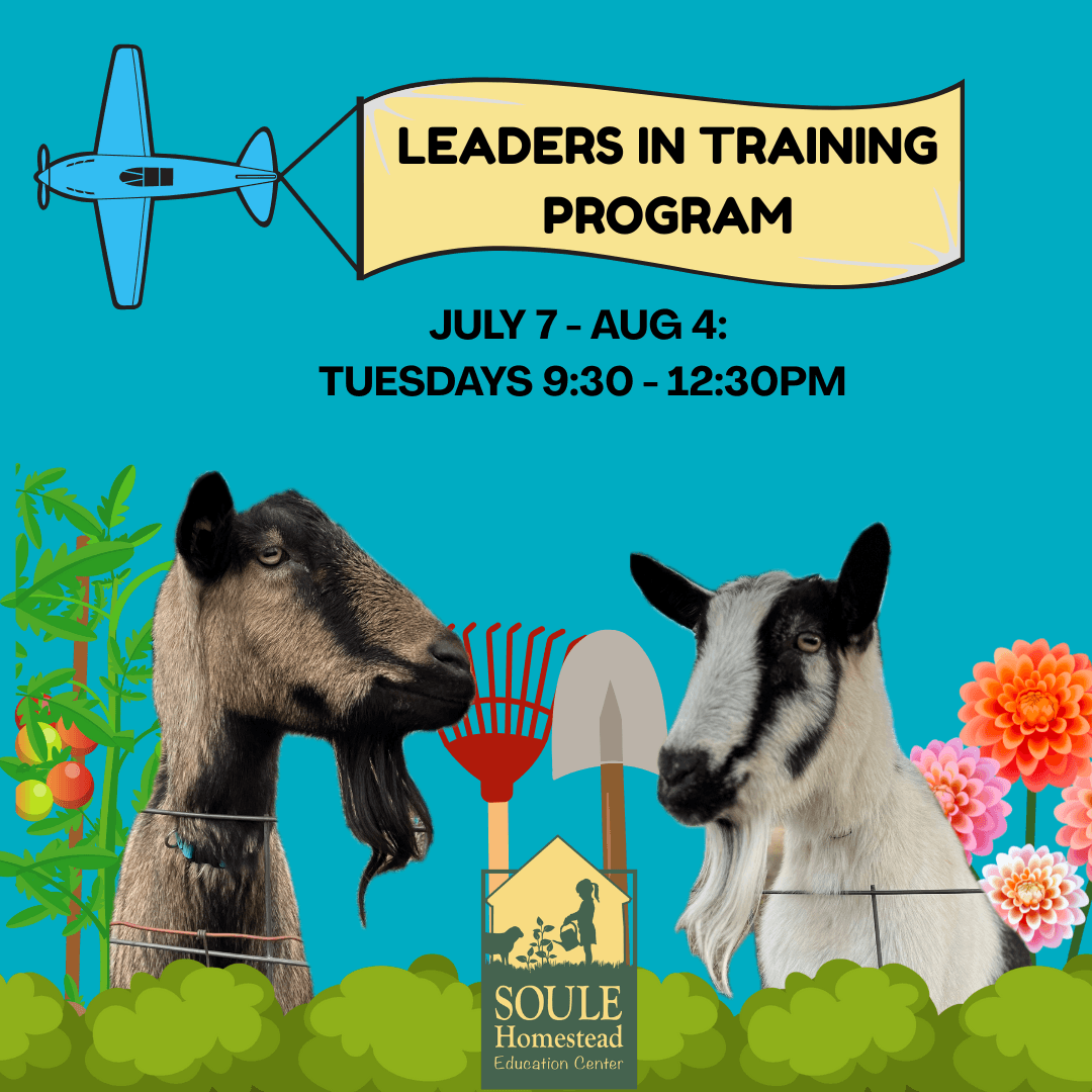 Teen Summer Leaders in Training at Soule Homestead — Hands-On Farm Volunteer Program photo 1