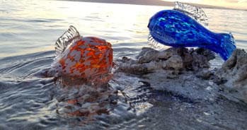 Blown-glass fish sculptures on rocky shoreline at sunset Hawaii
