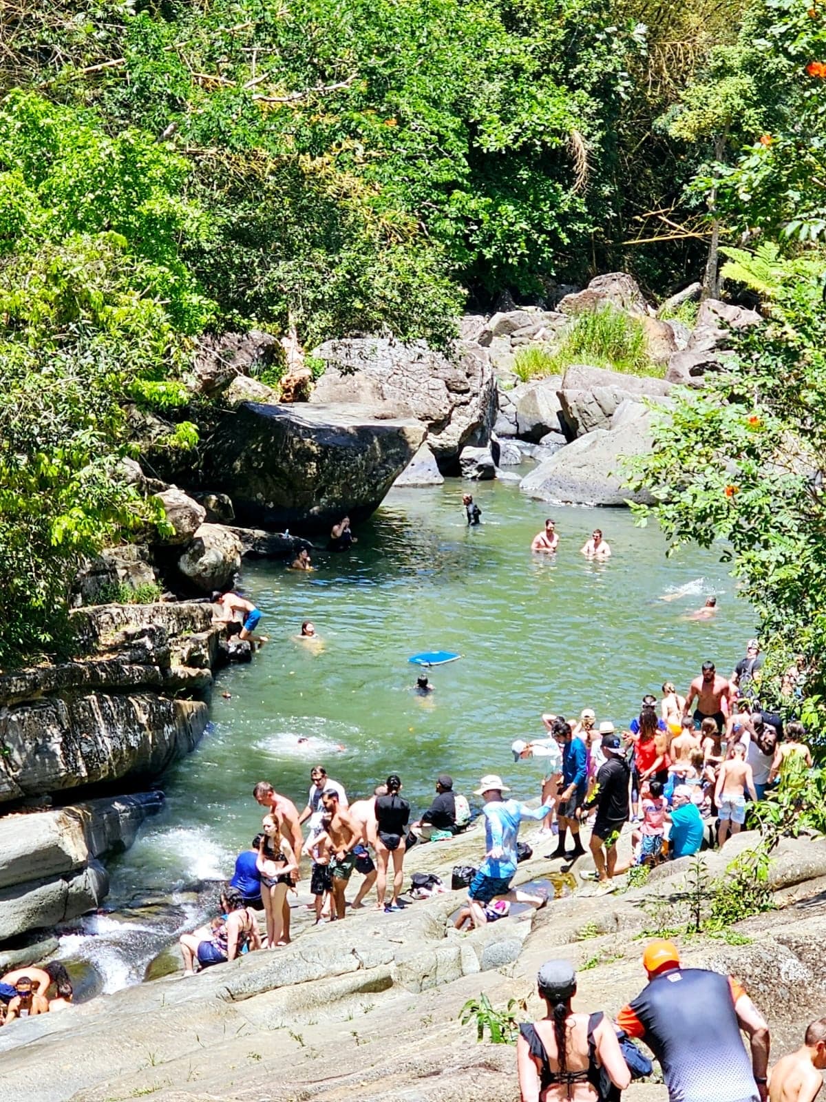 Crowded natural river swimming hole in tropical jungle with swimmers