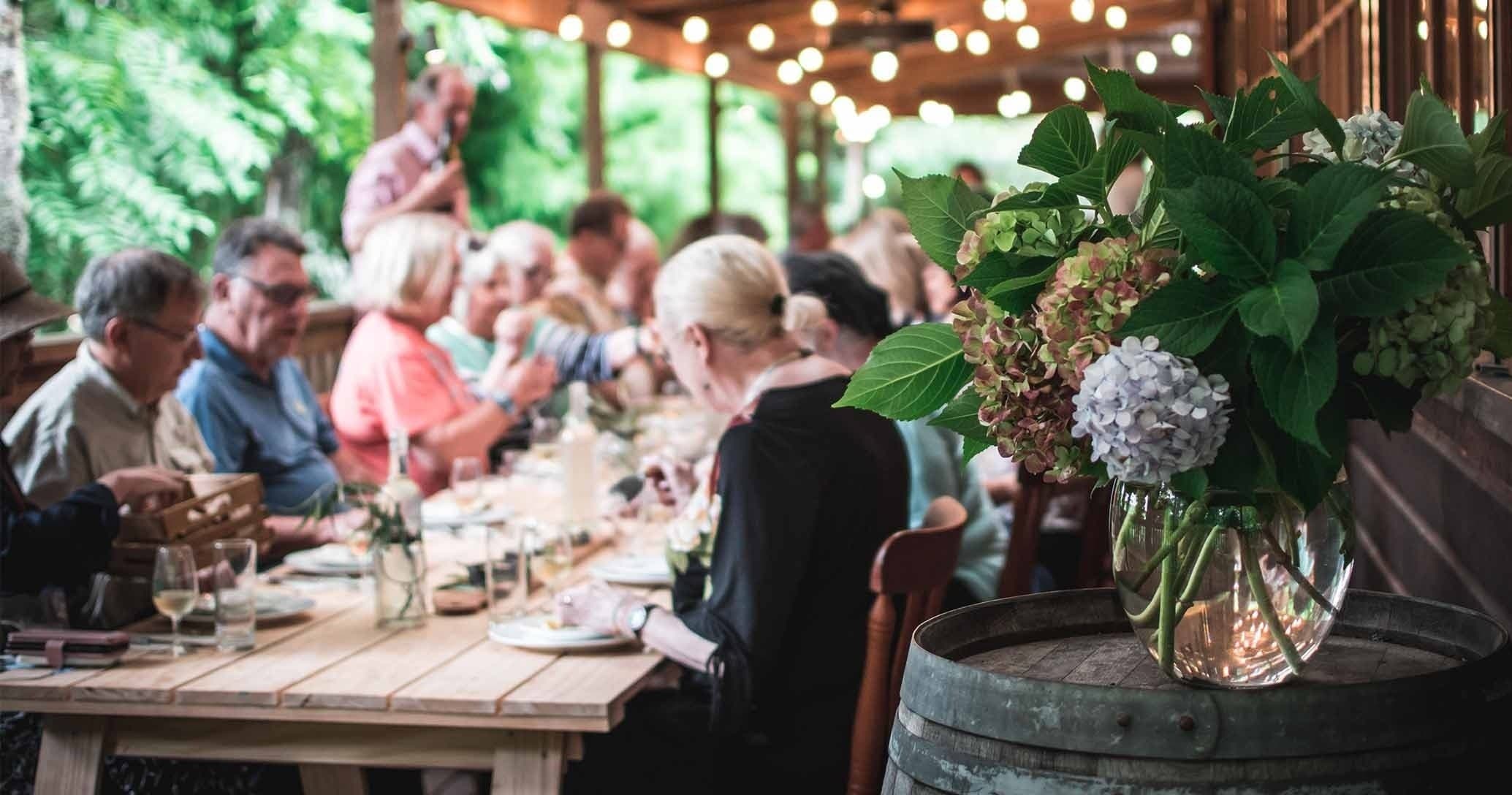 Culinary & Wine Tours at Vineyard Cottages in Auckland