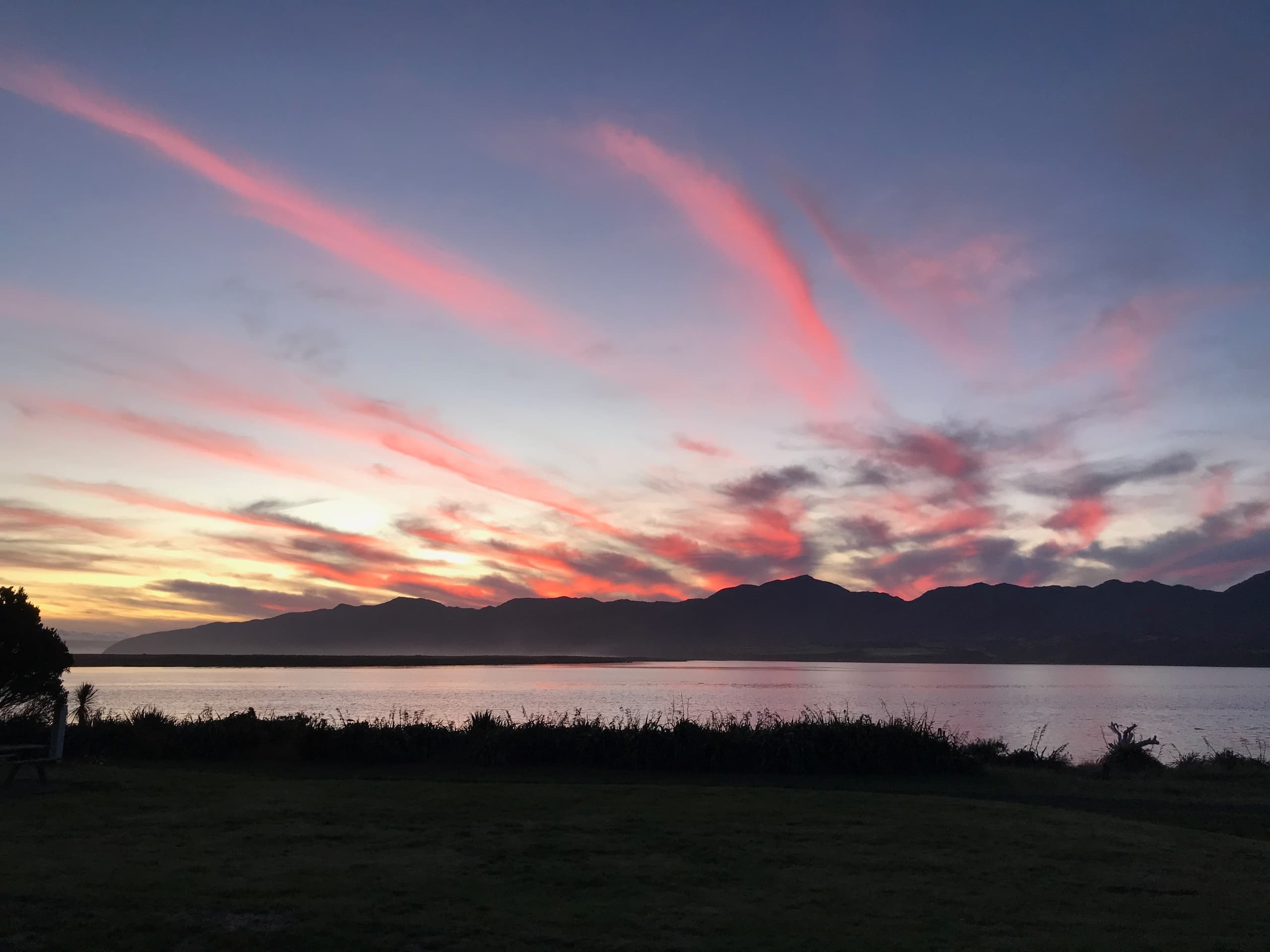 South Wairarapa Cultural Tour: Half-Day Van Journey from Featherston photo 4