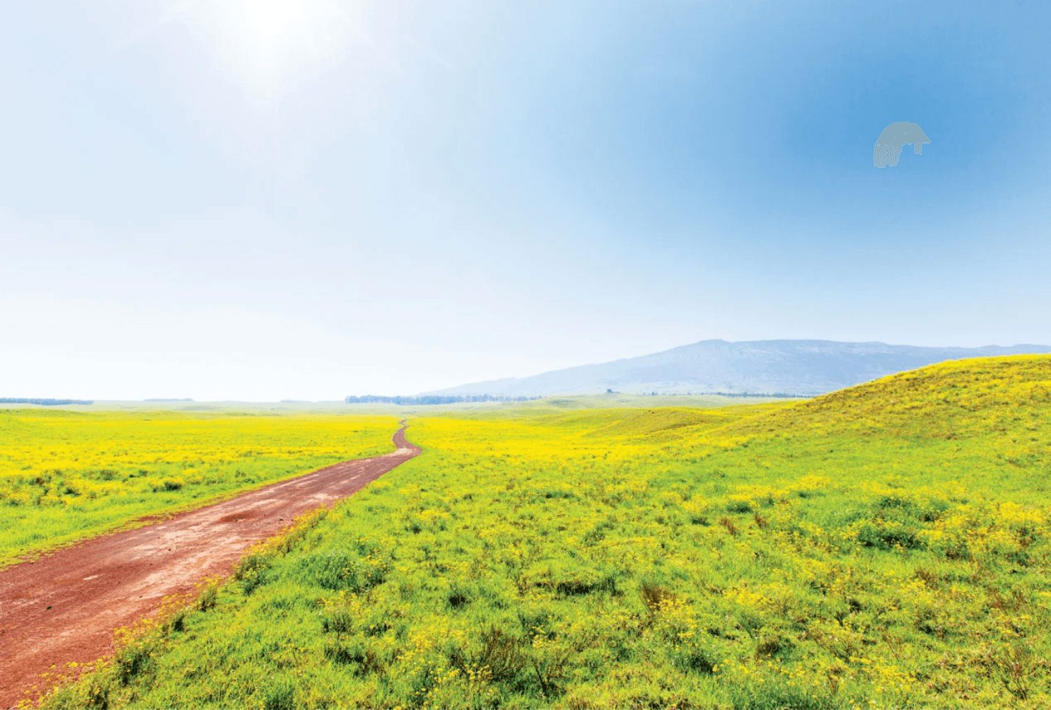 Mountain Biking with Big Island Bike Tours in Waimea