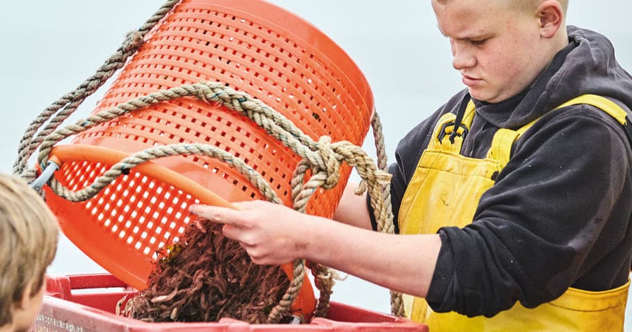 Garnalenvissen Prive with De Groot Recreatie in North Holland