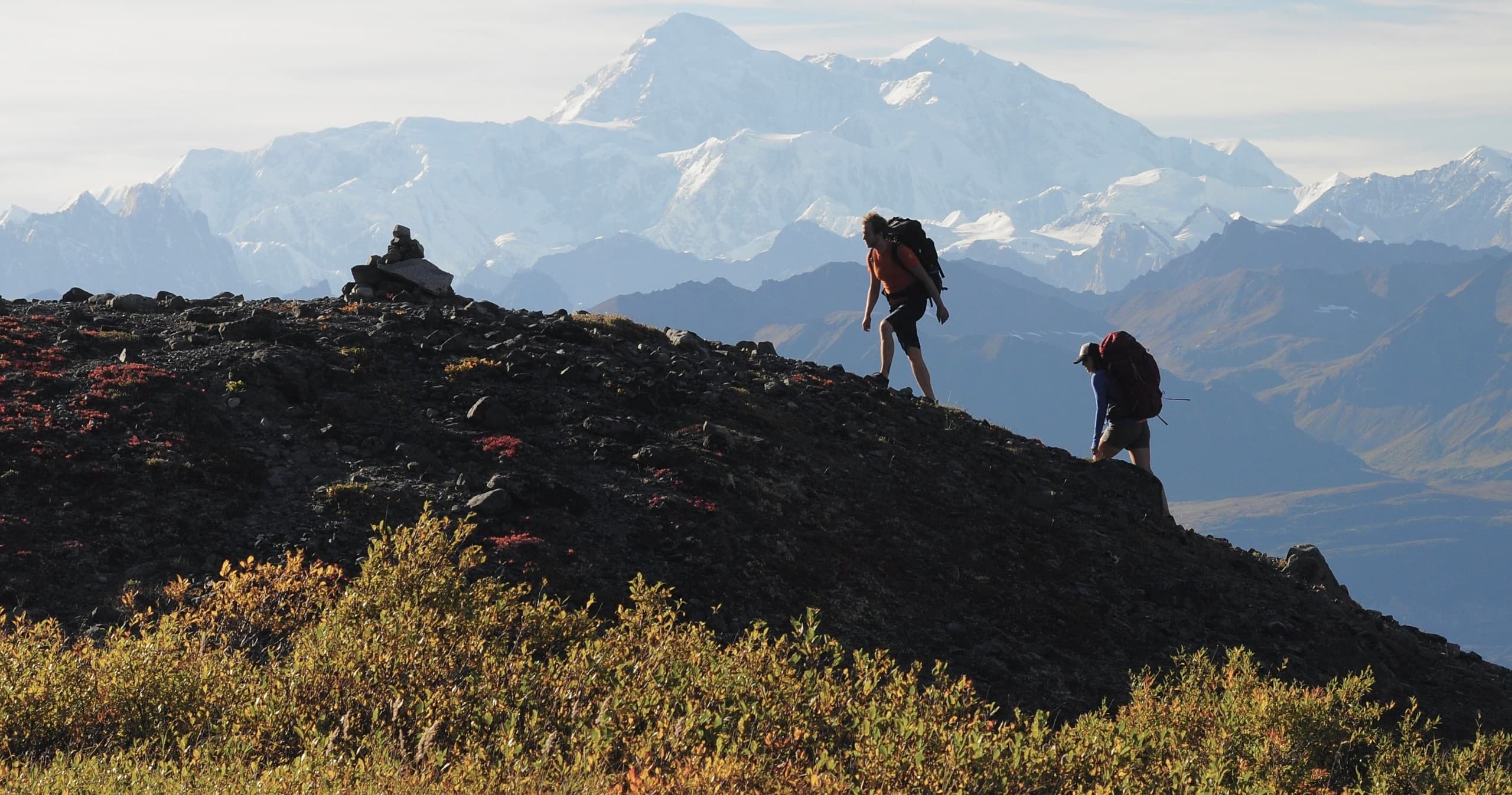 Four-Day Kesugi Ridge Backpacking: Denali Views, Alpine Lakes & Bear Country