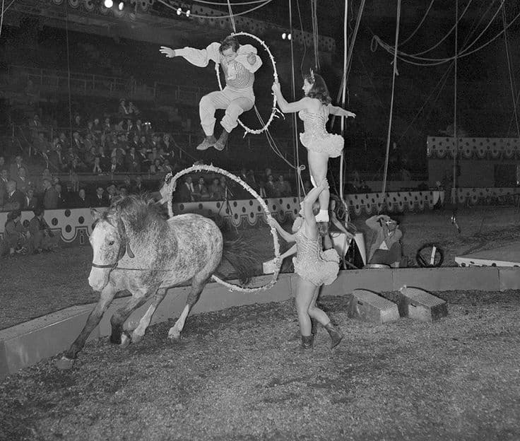 Vintage circus horse and acrobats performing ring act under tent