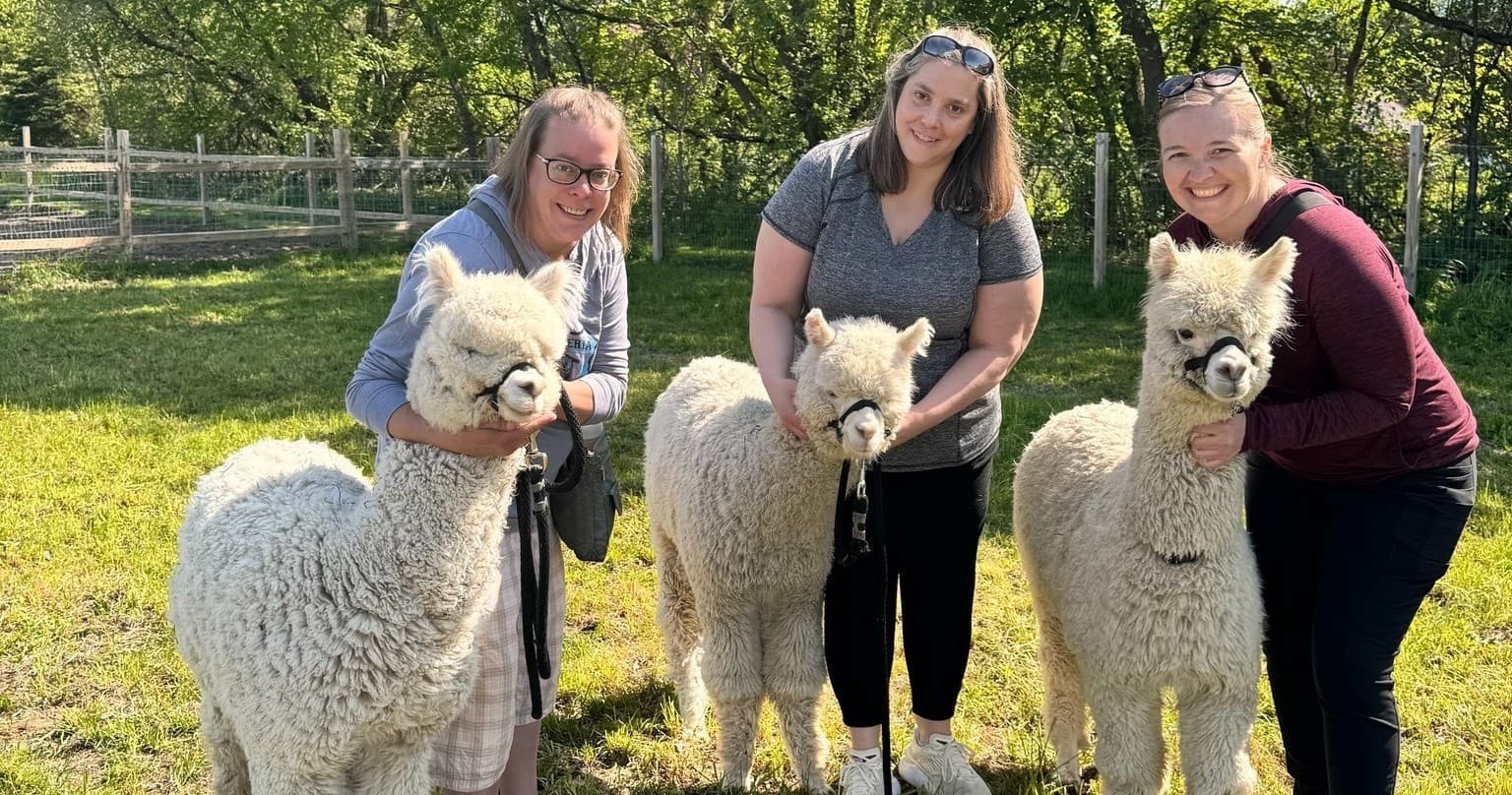 Walking with Alpacas at Eagle Eye Farm, Wisconsin