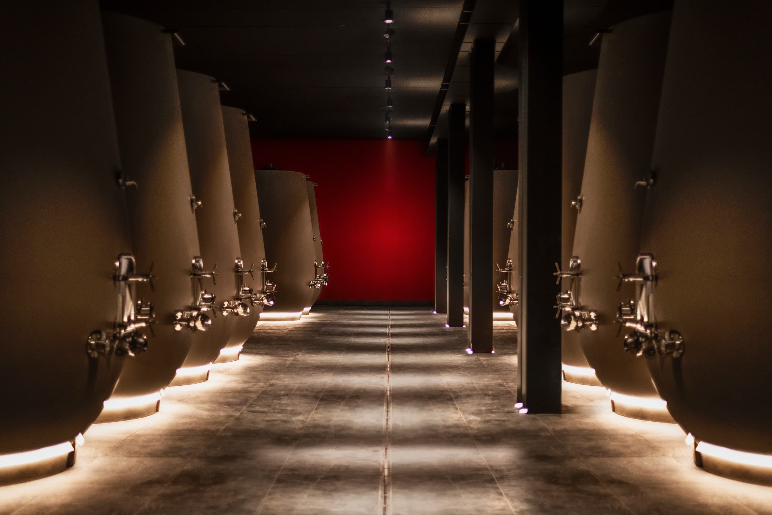 Valpolicella Wine Tasting with Hidden Experiences Verona