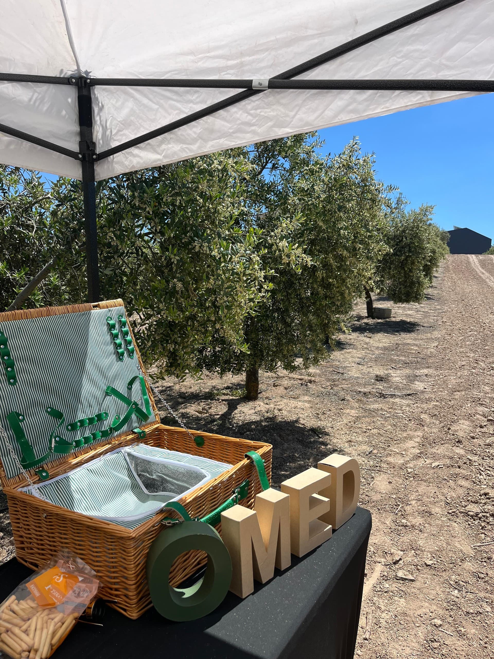Olive Oil Tasting & Picnic Among Olive Trees at Almazara O-MED (near Granada)