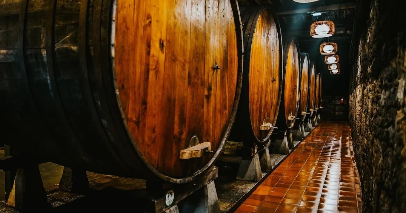 Cider Tunnel & Orchard Walk with Farm Experiences & Tours