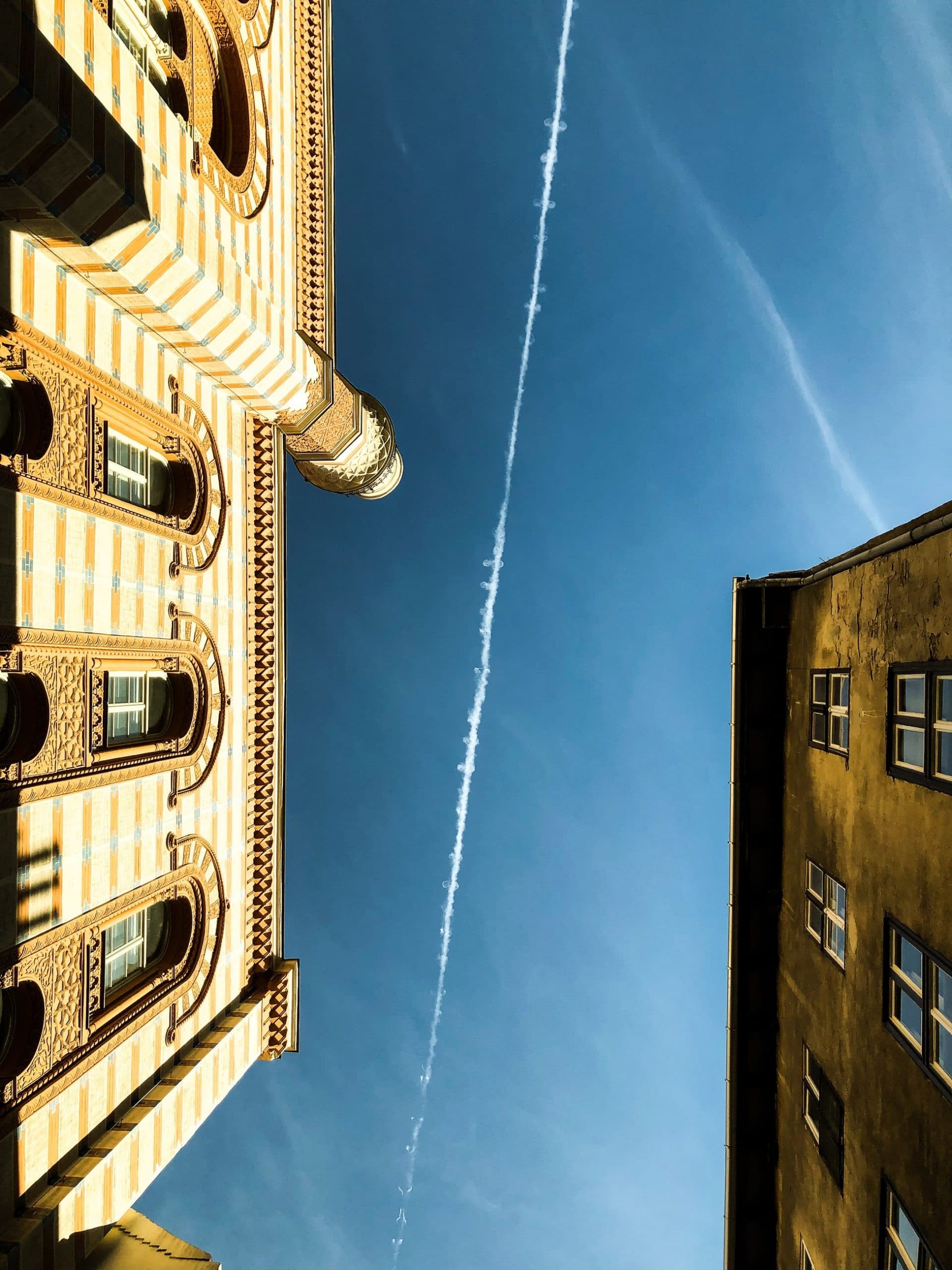 Historical & Cultural Tour: Hungarian Holocaust Memorial Walk