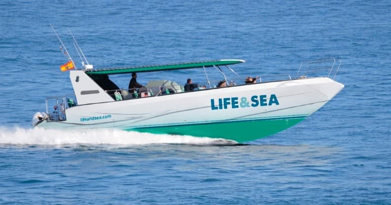 Direct Boat Transfer to Es Trenc Beach from Playa de Palma photo 4