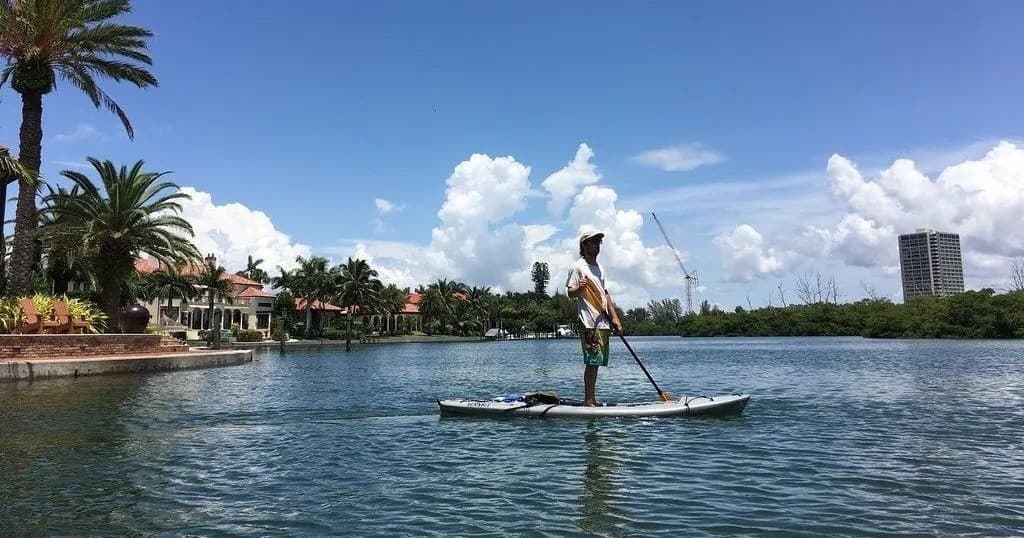 Lido Key SUP: 3-Hour Paddle Through Sarasota’s Mangrove Tunnels