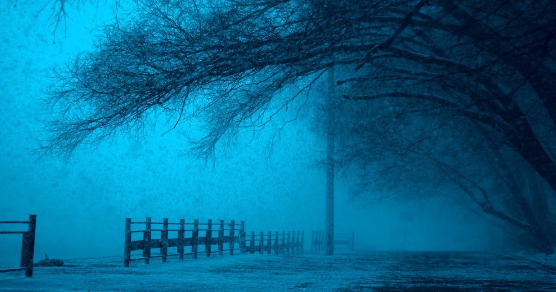 Scenic foggy lakeside trail inviting hiking with leaning trees and fence