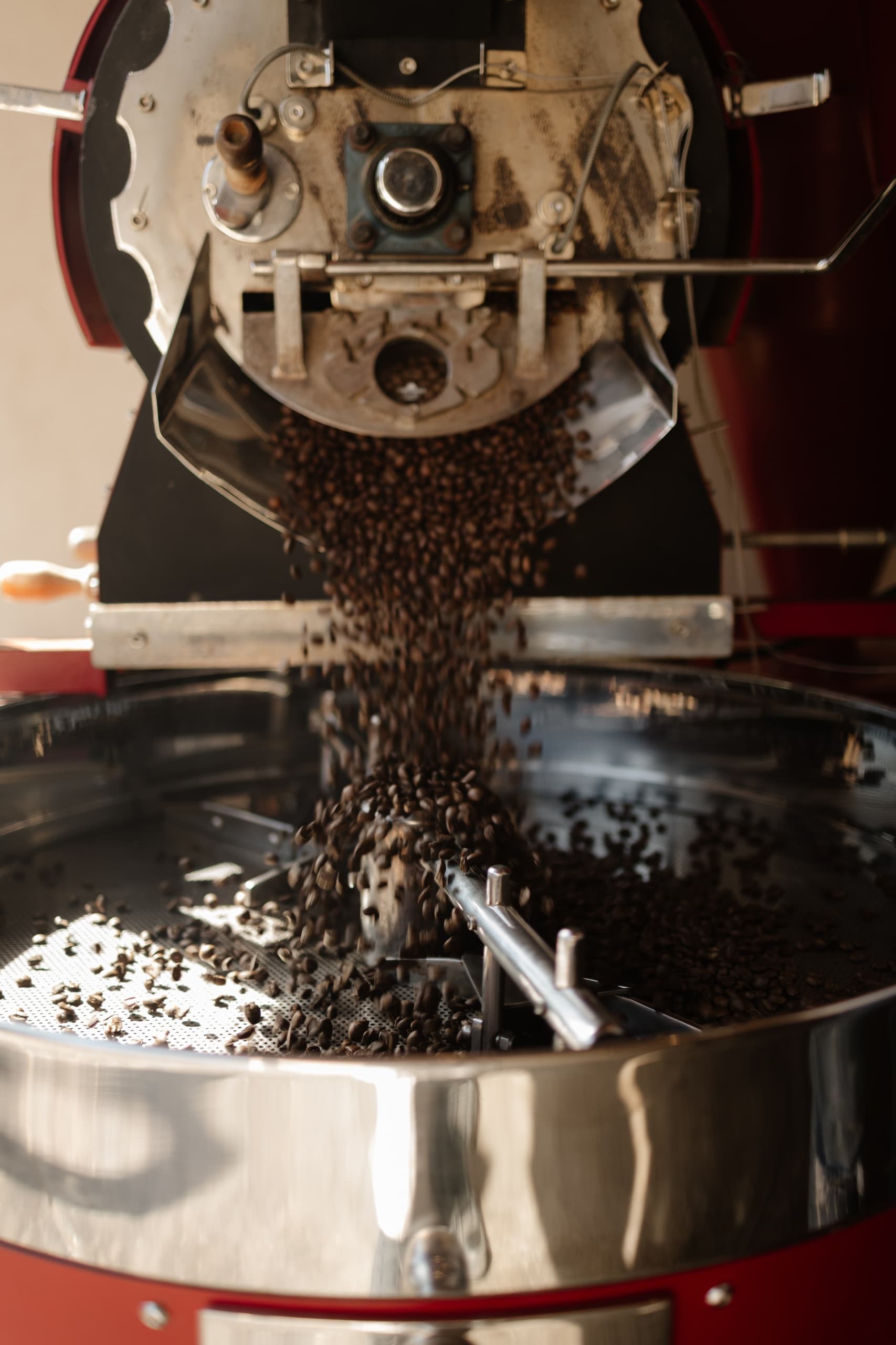 Sip Like a Pro: Coffee Masterclass with Master Roaster David Báez in San José del Cabo photo 2