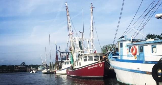 Harbor Boat Tour with Charleston Historic Tours in Mount Pleasant