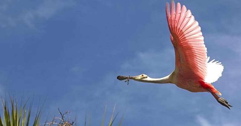 Ecological Adventure with Summer School Charters in St. Augustine