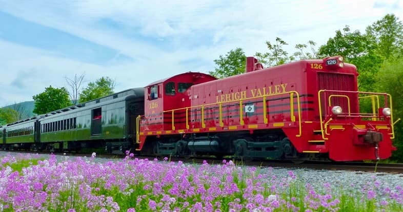 Red train traveling past wildflower meadow on summer scenic route