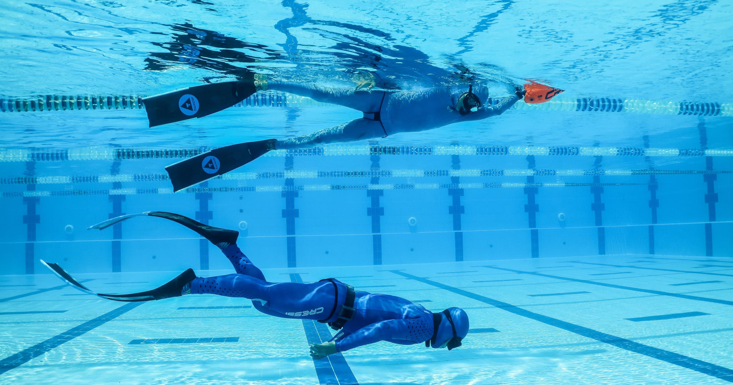 PADI Advanced Freediver Course with Dive California in San Diego