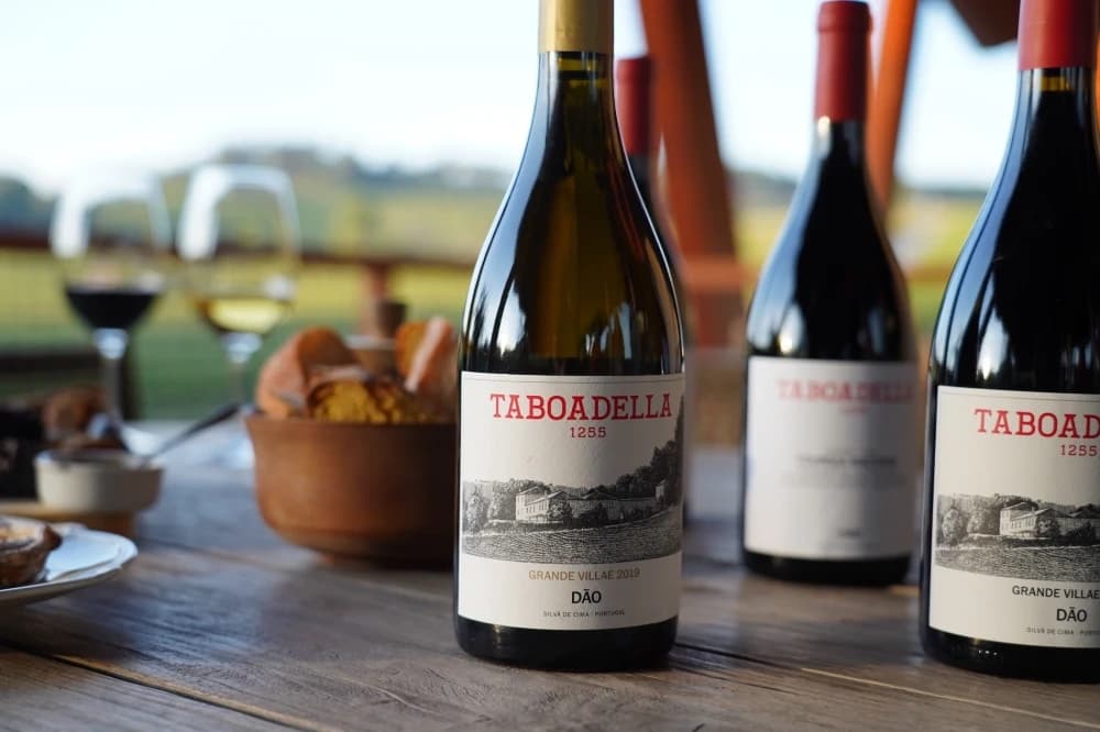 Prova Grande Villae: Rare Dão Wine Tasting at Quinta Da Taboadella