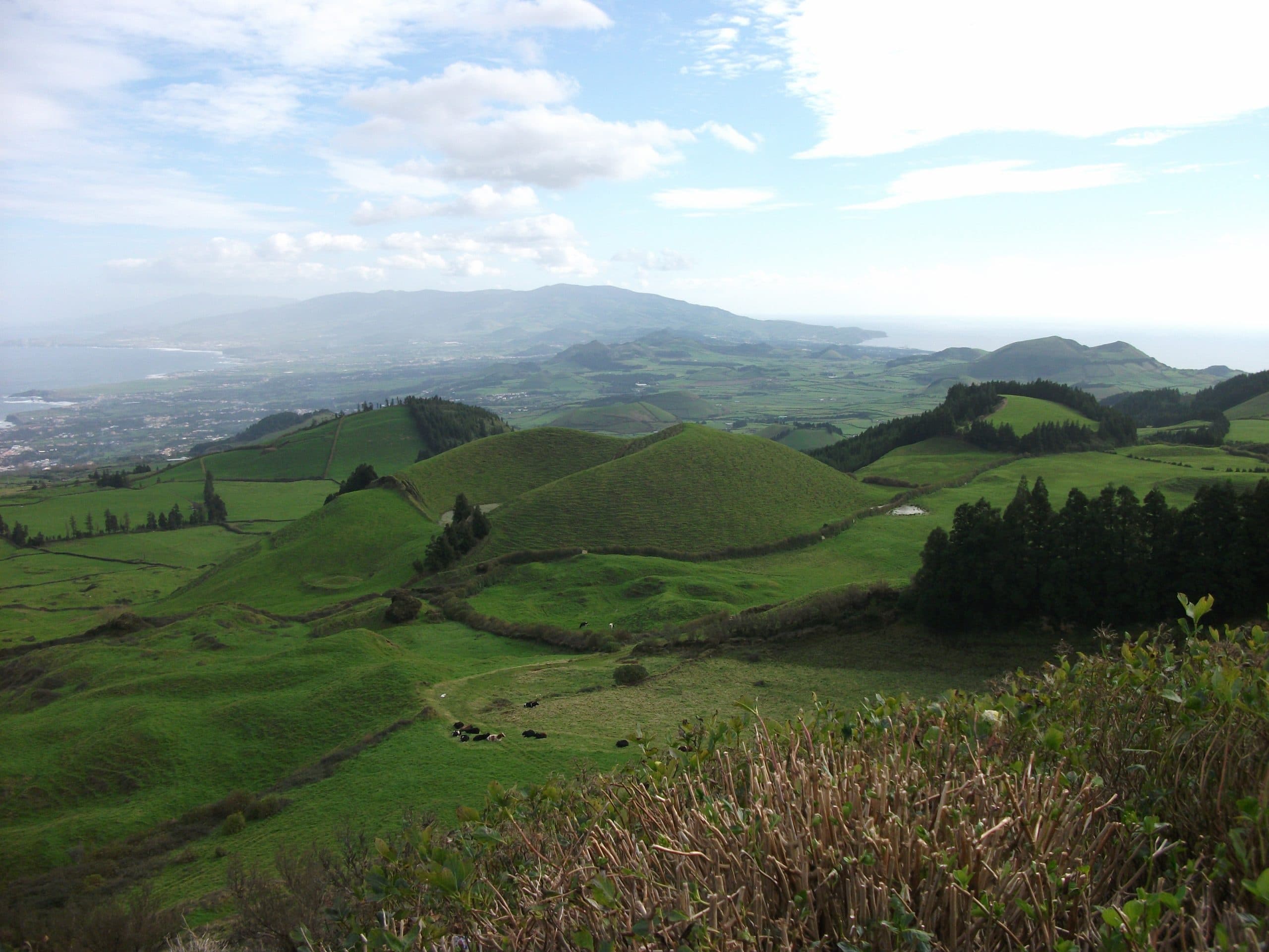 Rolling green hills and pastures in Azores ideal for hiking