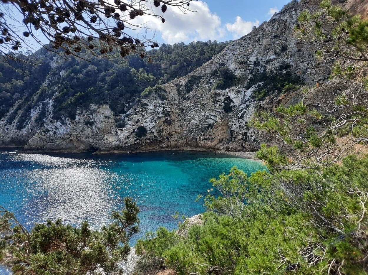 Turquoise secluded cove with cliffs and pines in Ibiza