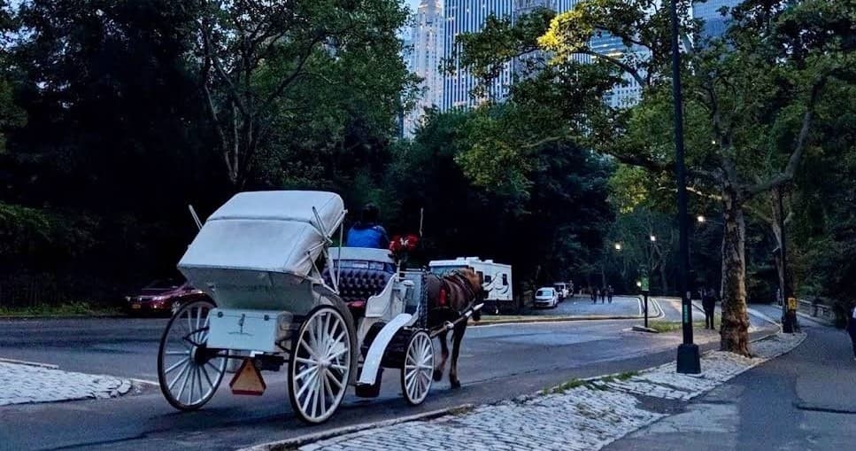 Classic Central Park Horse Carriage Ride: 45-Minute Iconic Tour in Manhattan photo 2