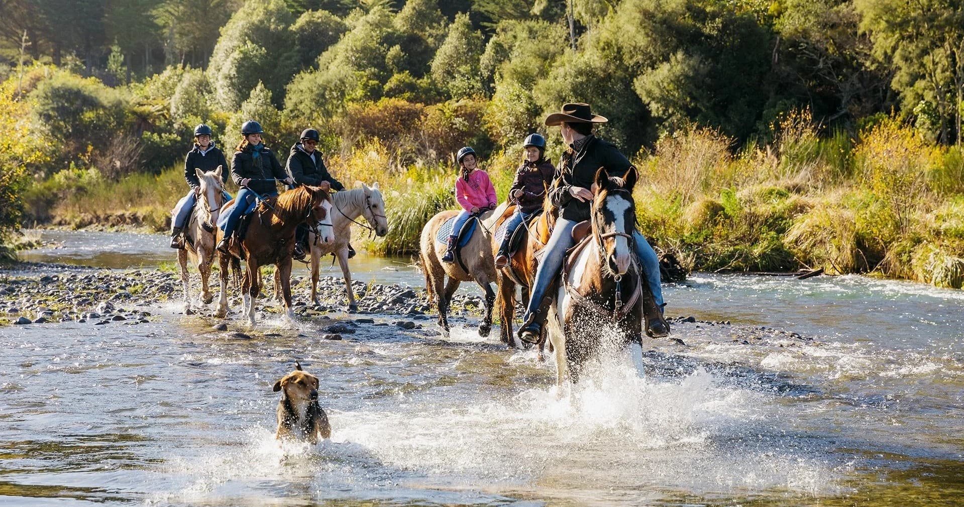 Horseback tour crossing river with dog and riders in nature