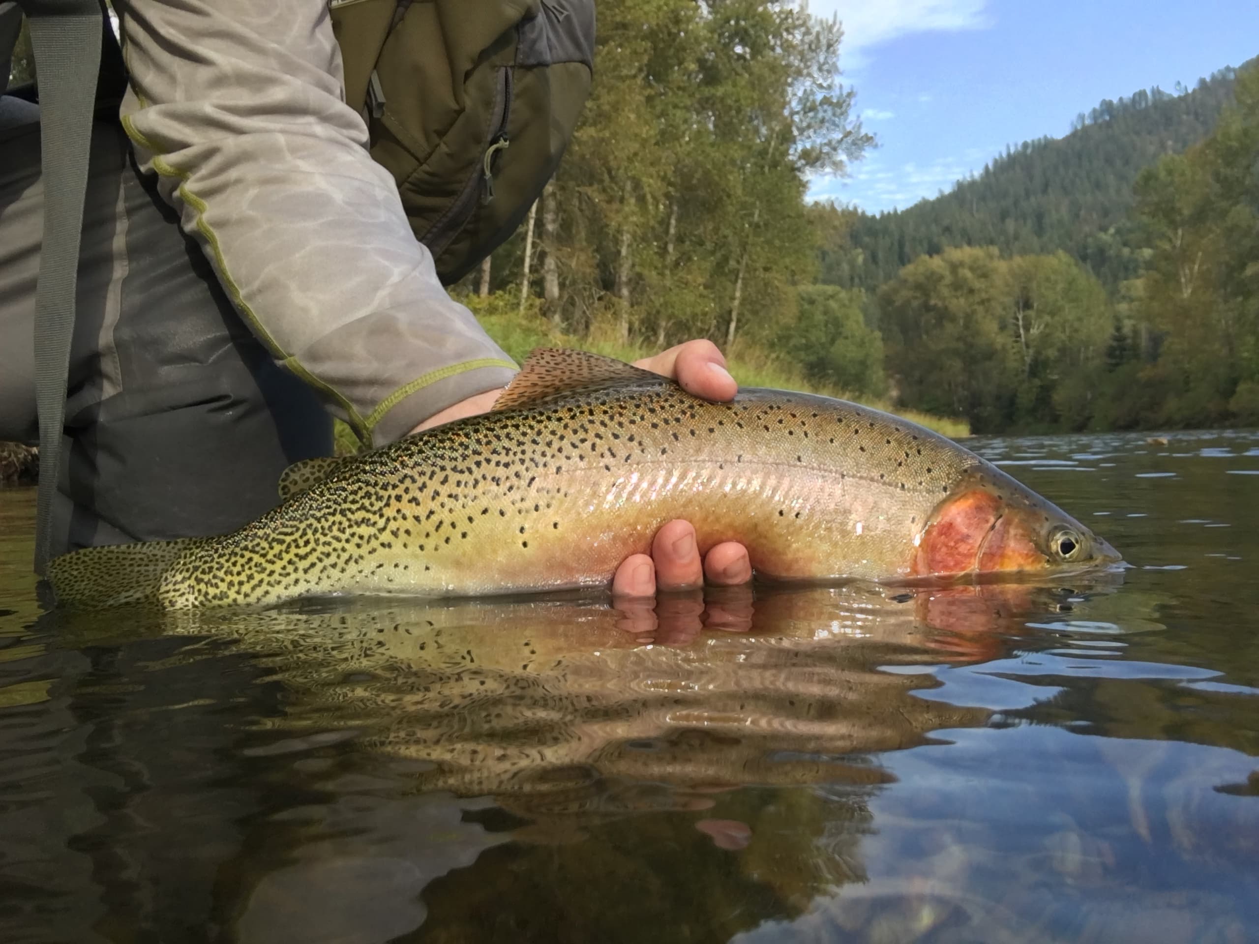 Northwest Outfitters team
