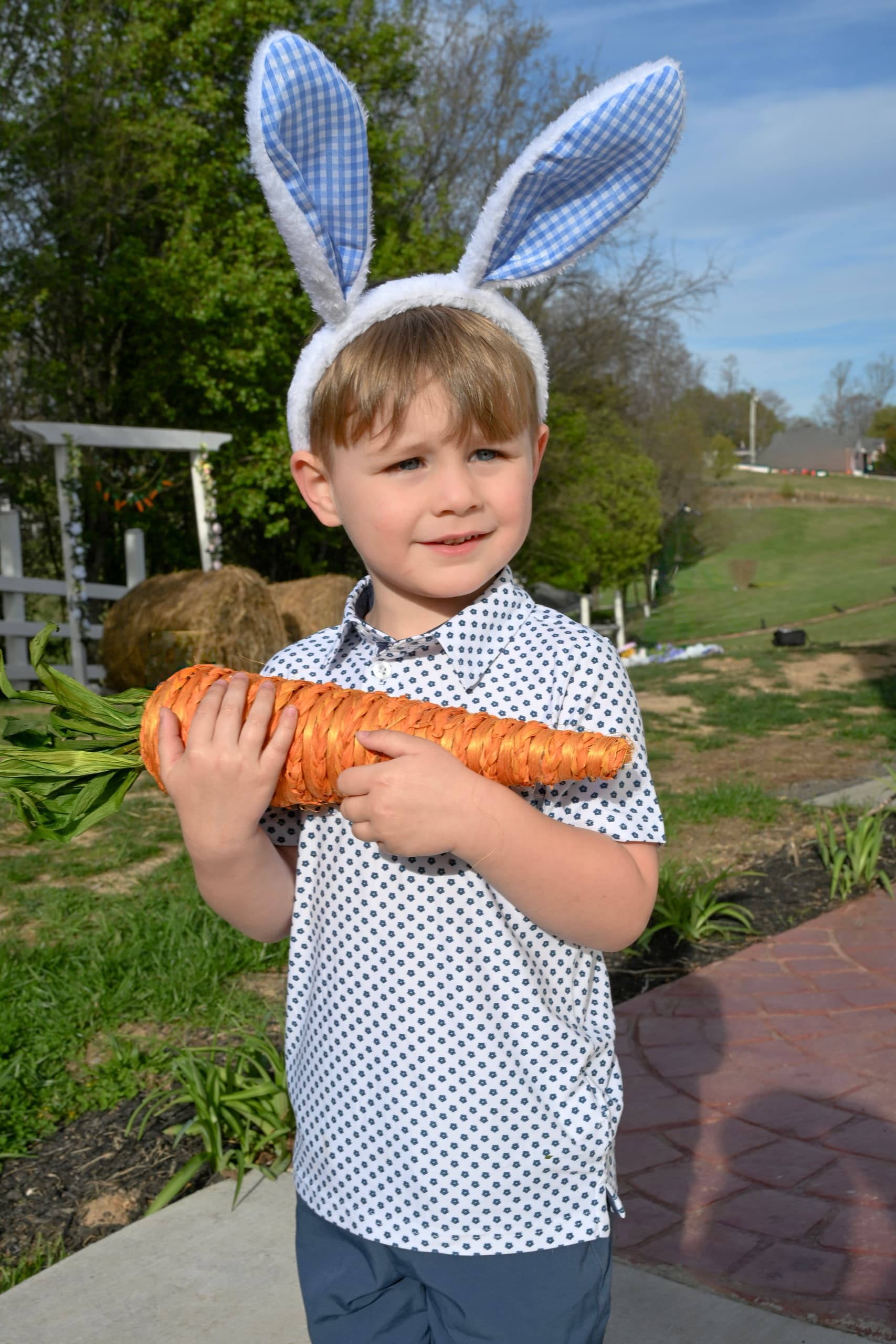 Spring Mini Sessions with Mini-Donkeys & Scottish Highland Cows at Cedar Pond Farms, New Market photo 1